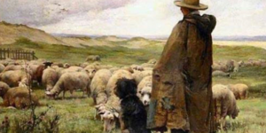 Çobandan okkali cevap