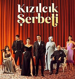 Kızılcık Şerbeti dizisinde başrol oyuncusu diziden çıkıyor